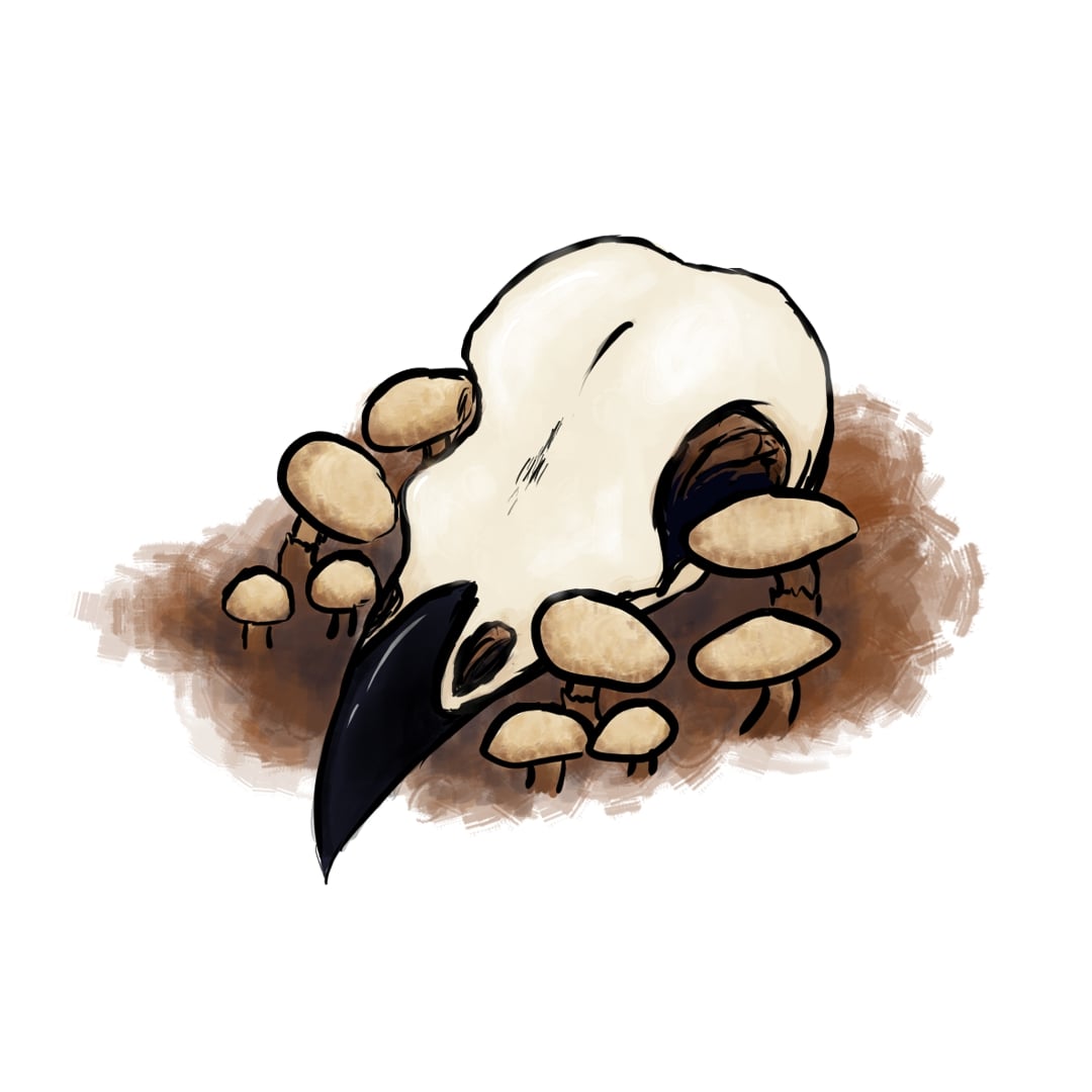 A bird skull surrounded by mushrooms.